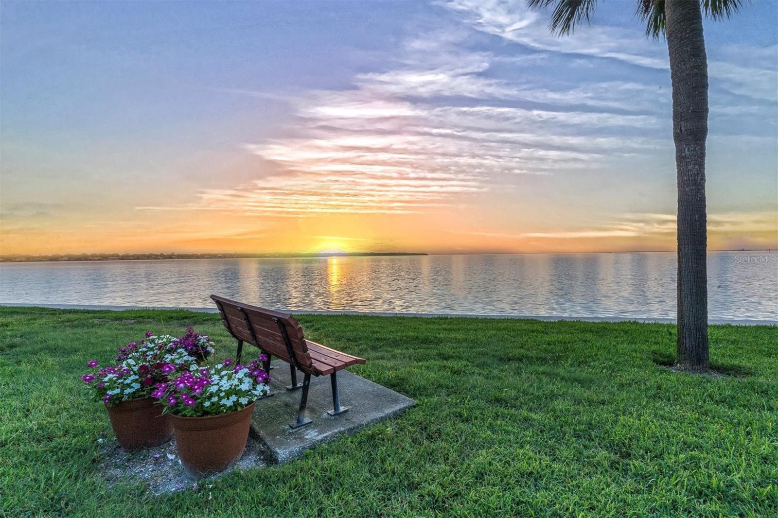 Watch the sunrise to start you day!
