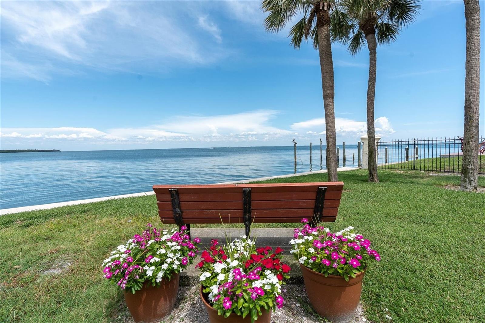 Serene water views