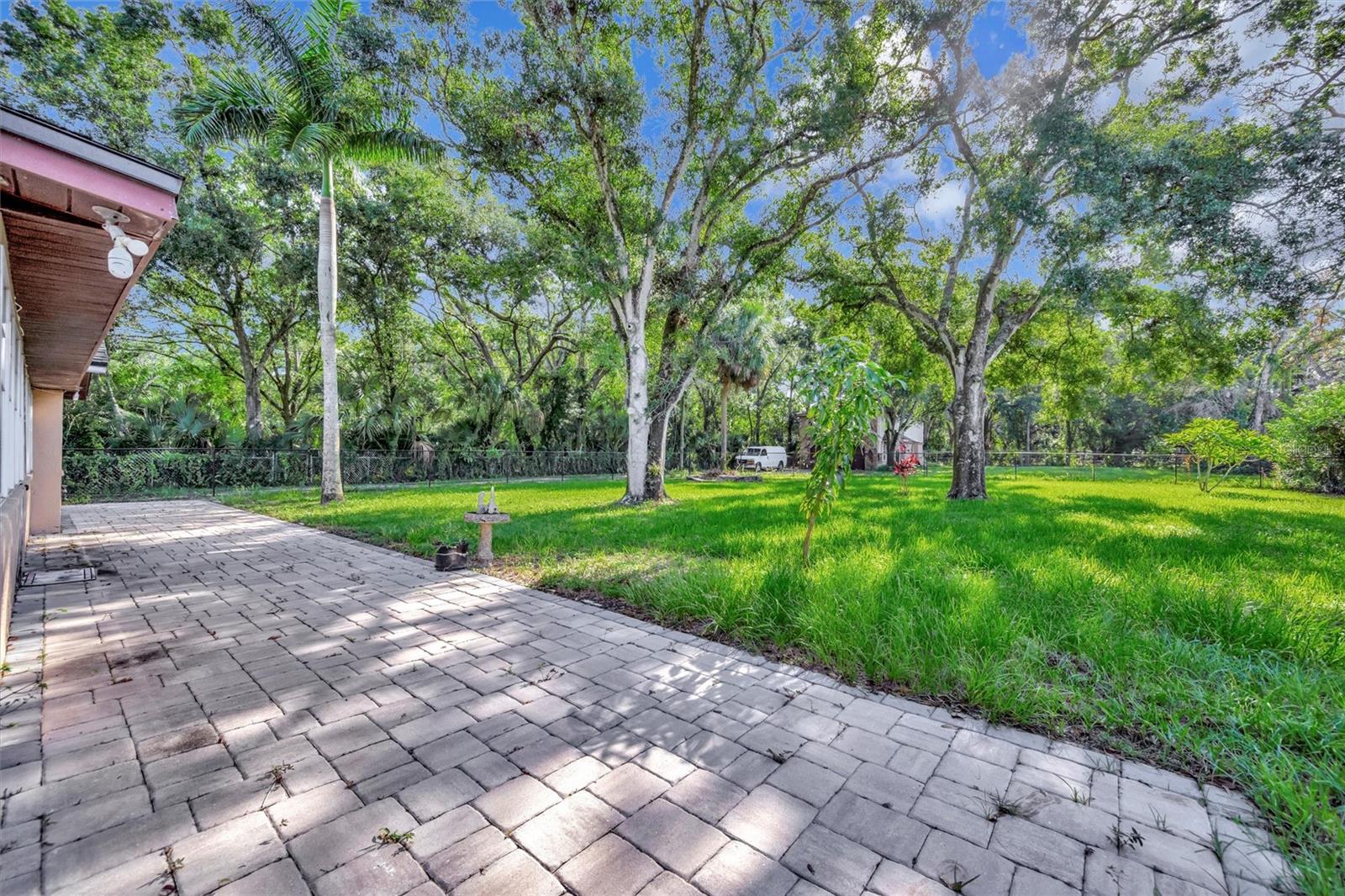 Spacious park-like yard