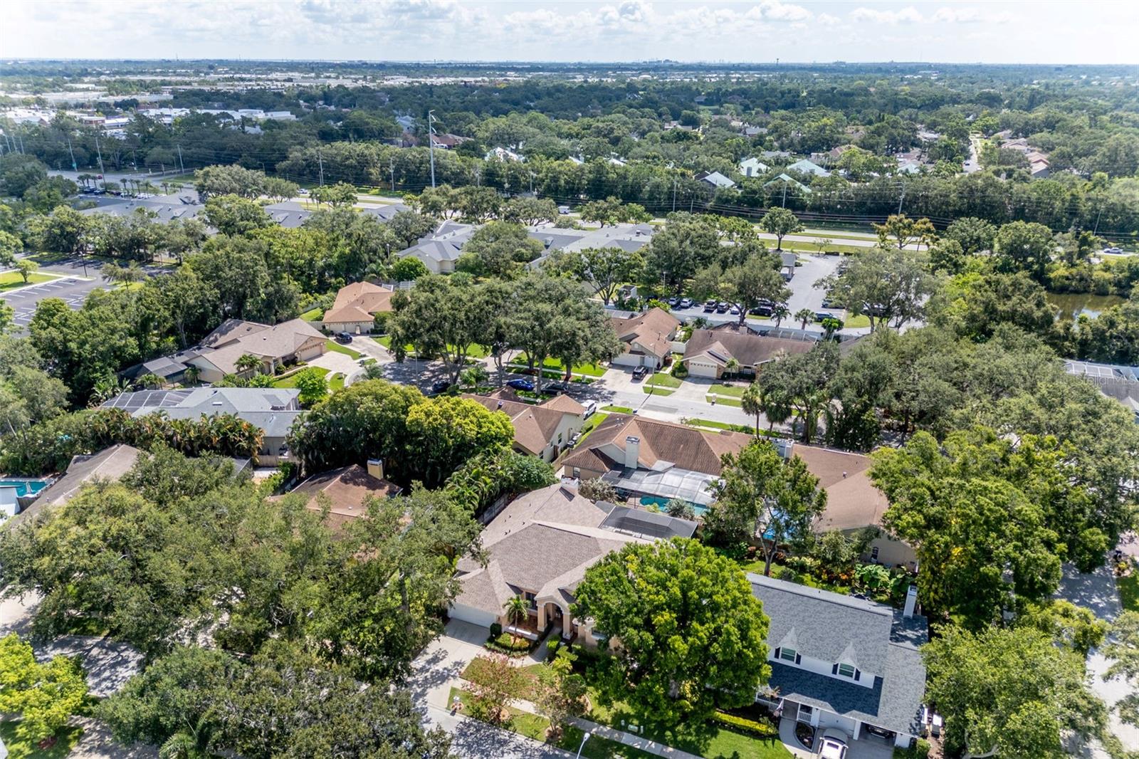 Overview of Subdivision