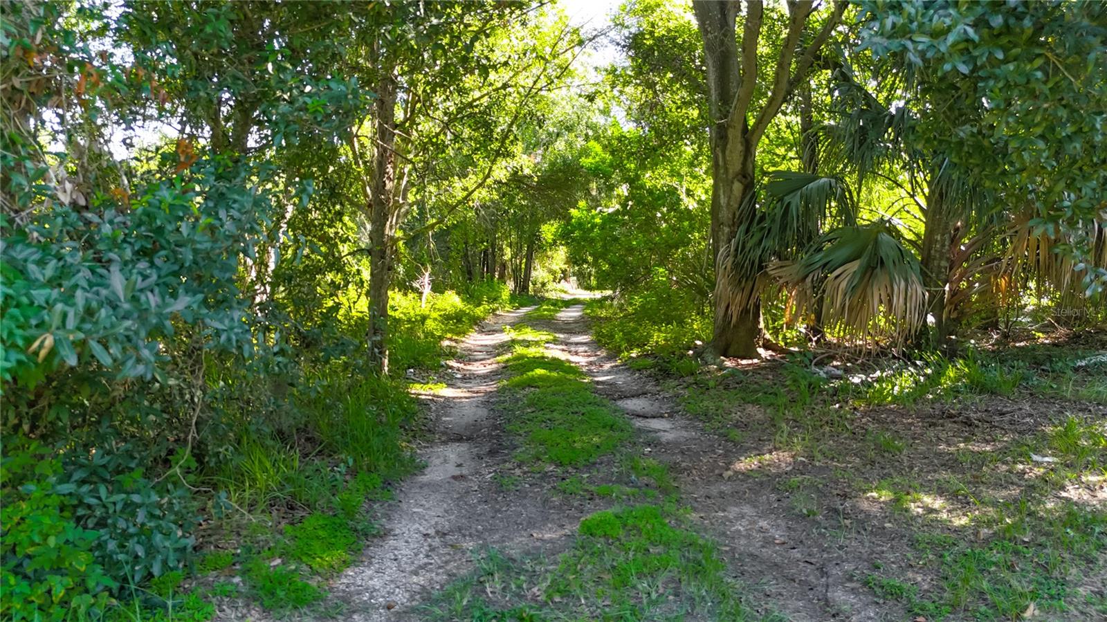 Trail leading deeper into the property.