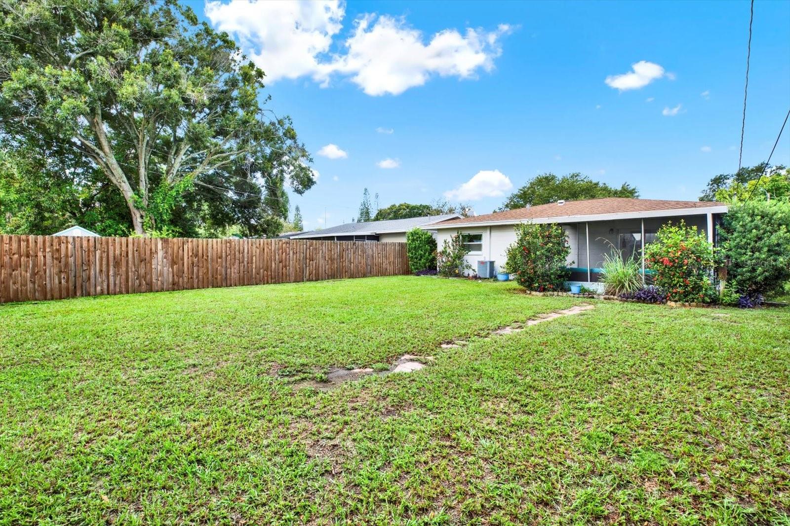 backyard