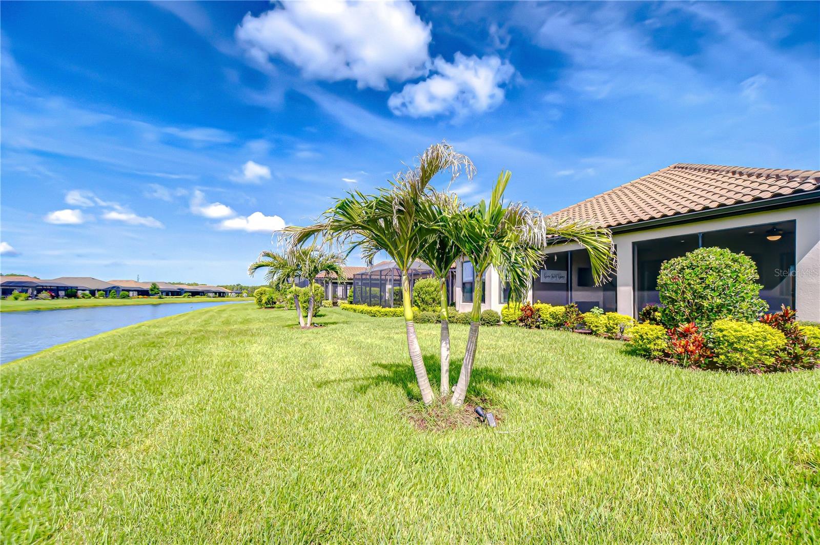 Beautiful tropical landscaping!