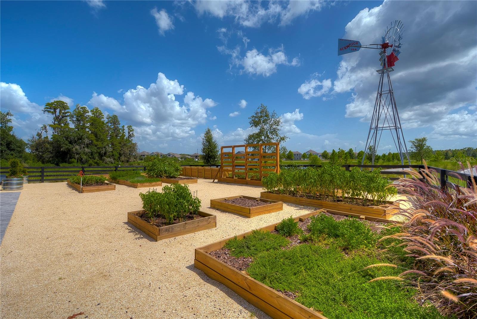 Community garden!