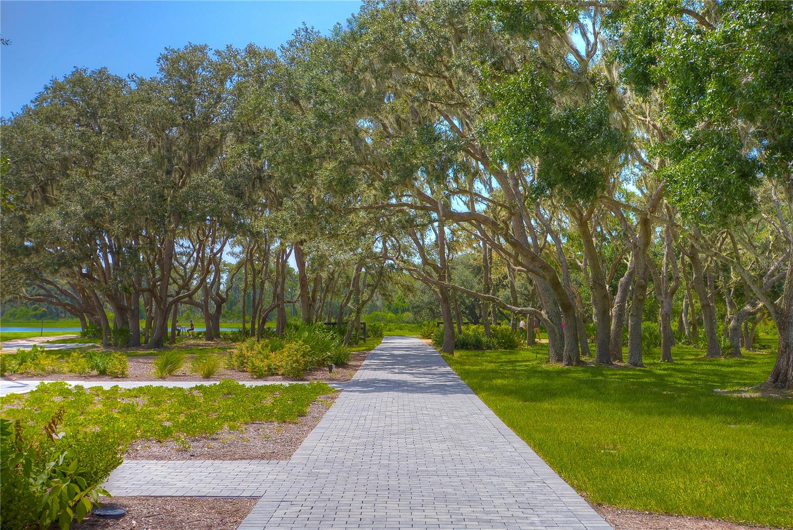 community walking trails!