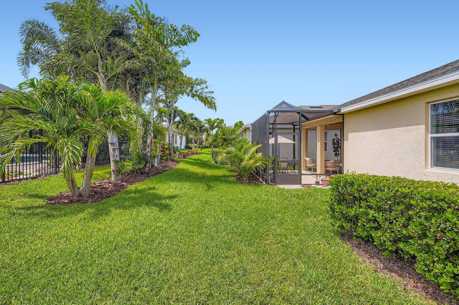 6307 Shadowlake Dr - Back Yard