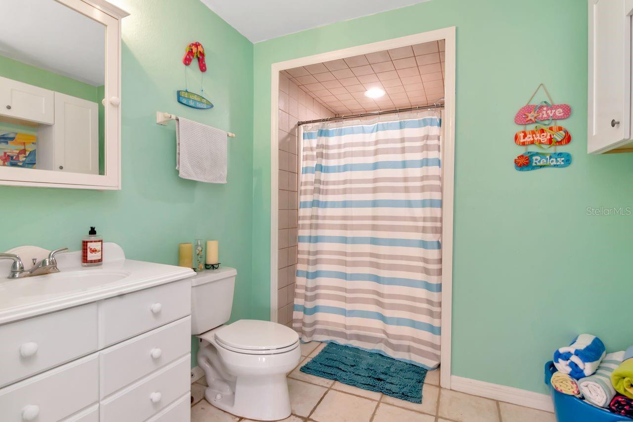 Lower level bathroom