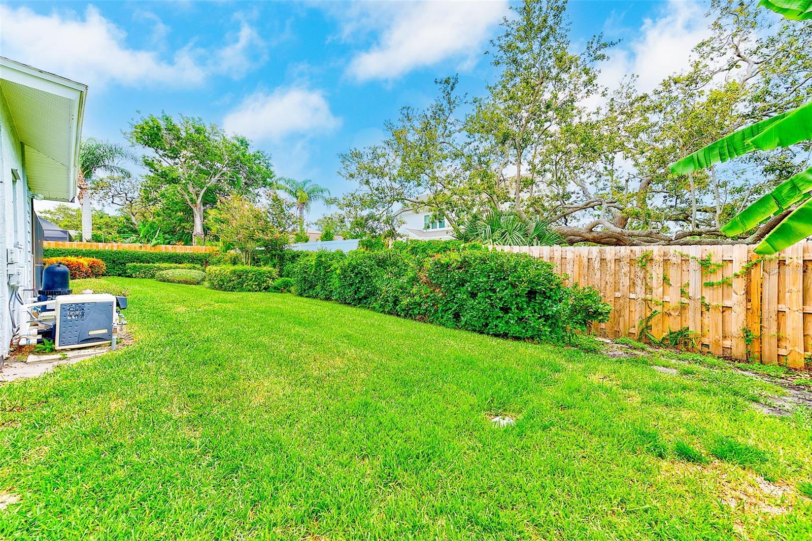 Private, fenced backyard