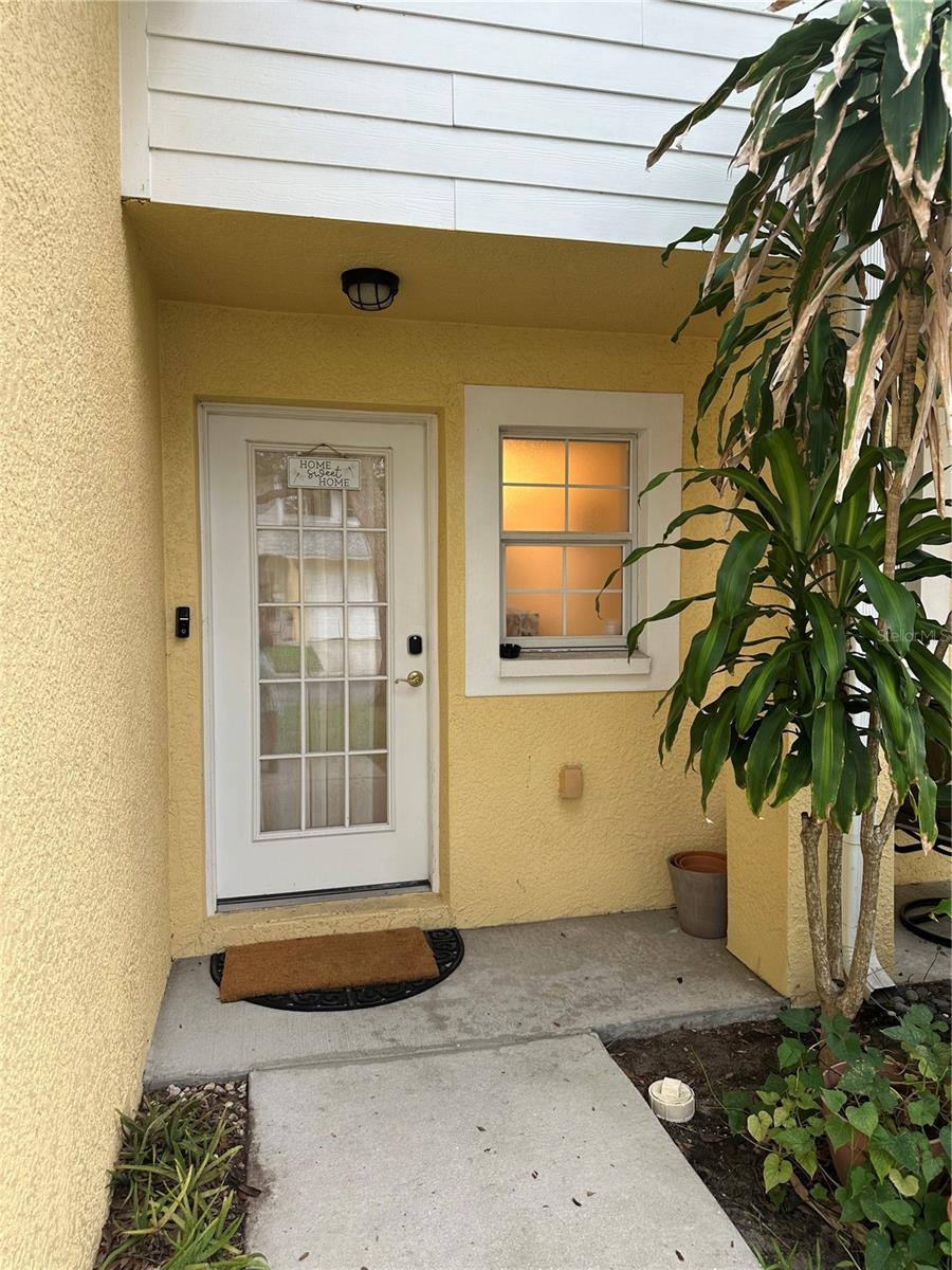 Entrance door