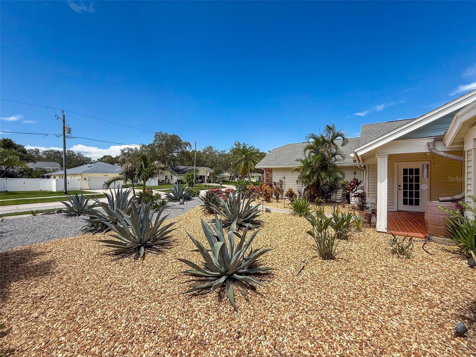 Easy care landscaping