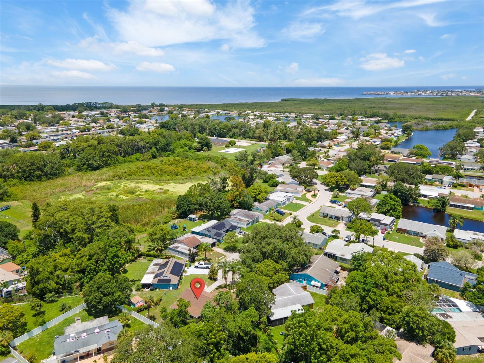 Drone View