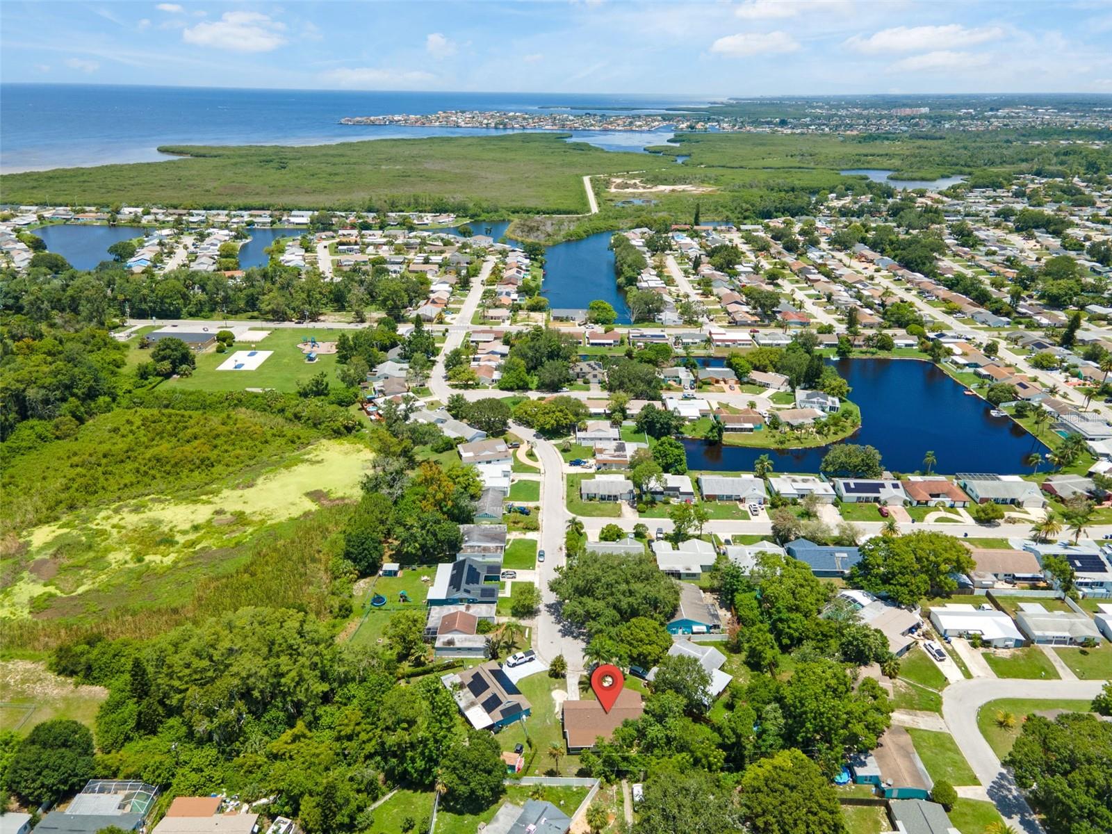 Drone View