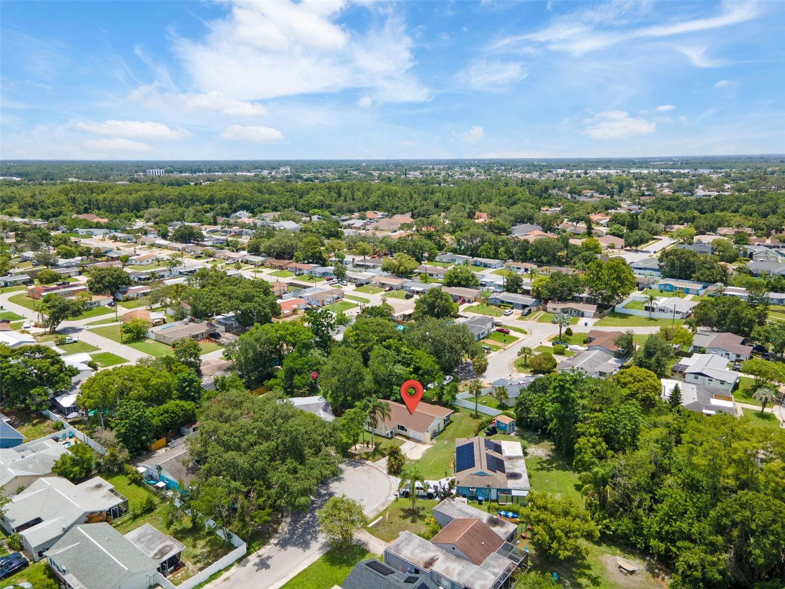 Drone View