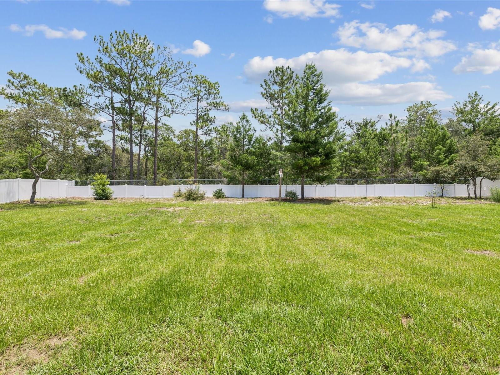 1/2 Acre Lot