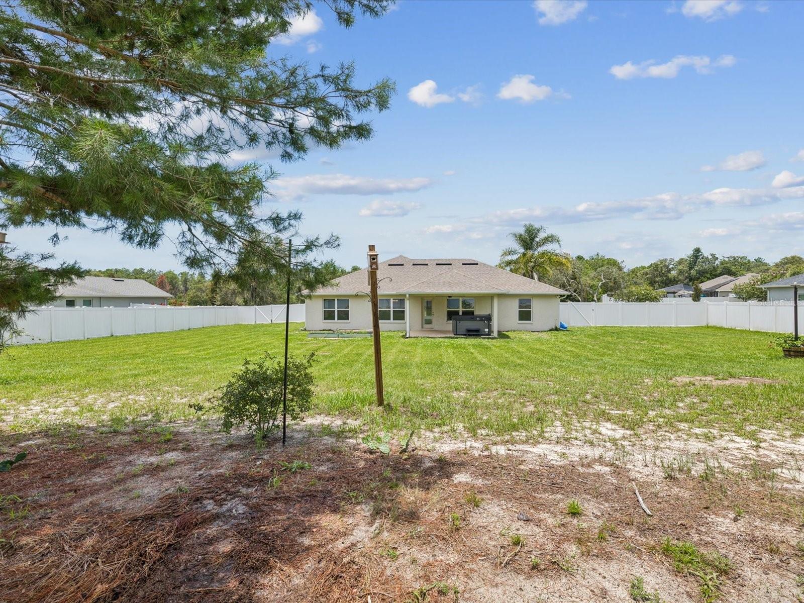 Fenced Back Yard
