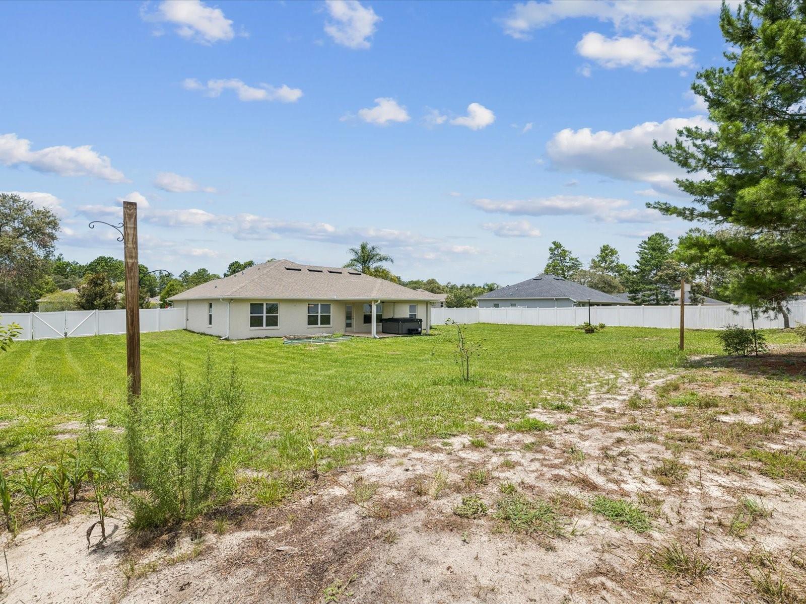Fenced Back Yard