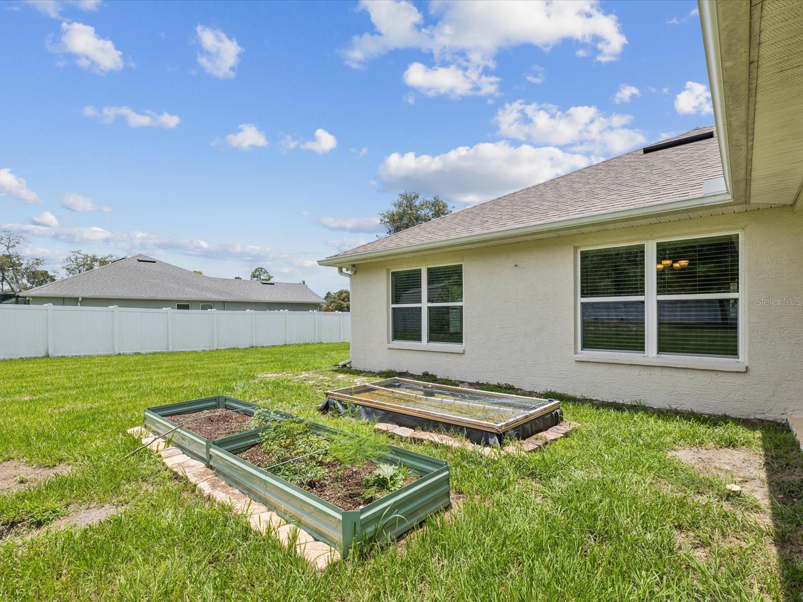 Vegetable Garden