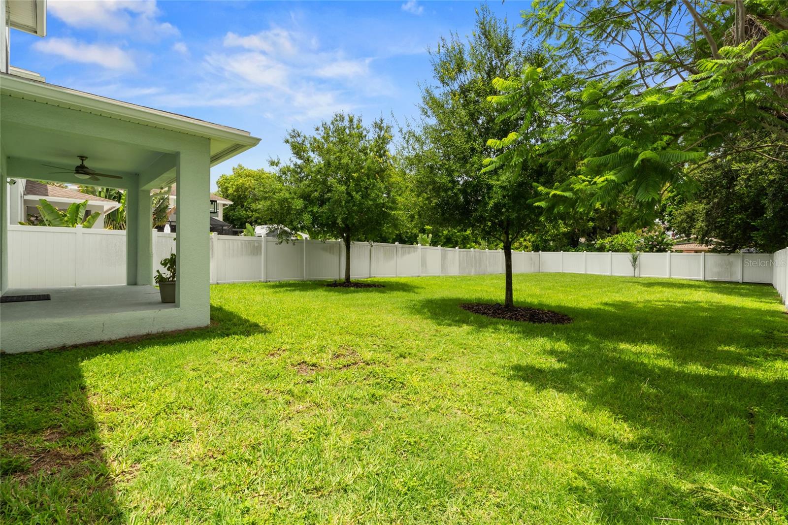 Back Porch & Backyard