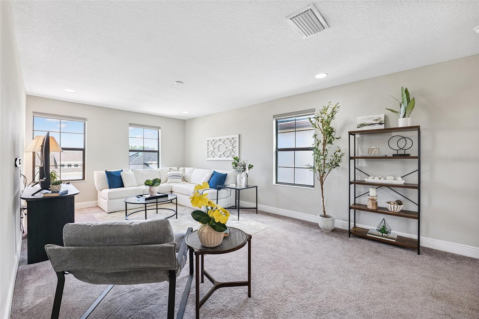 Bonus room/Loft