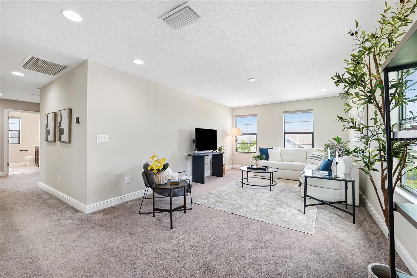 Bonus room/loft