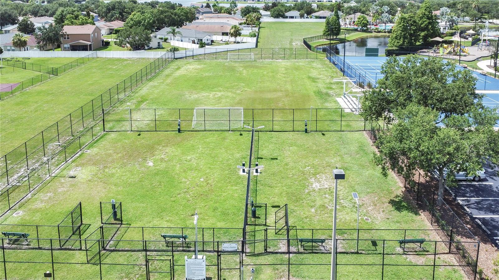 Dog Park/Soccer Field