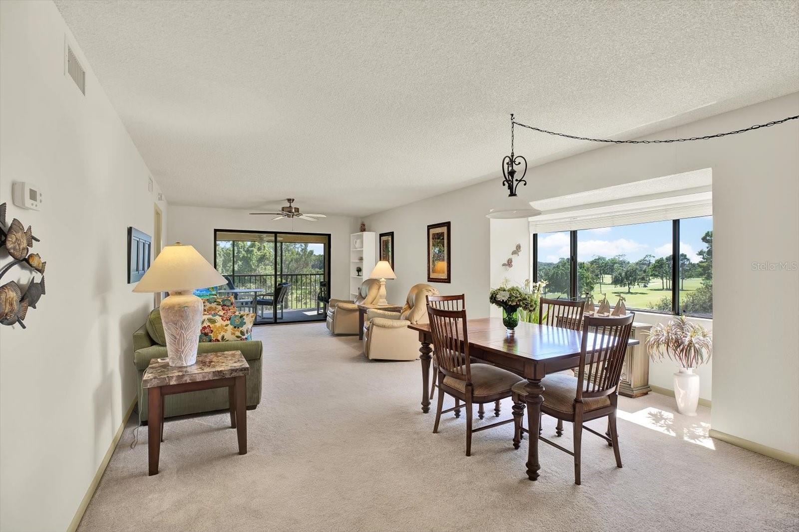 Views, Views, Views – Dining and Living Room