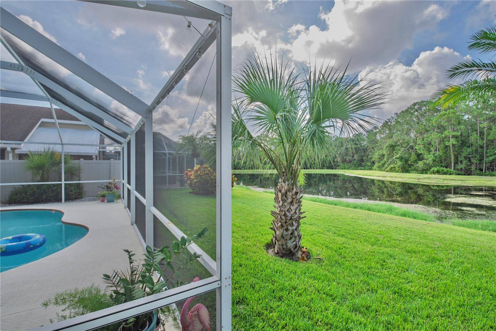 Pond and conservation view.