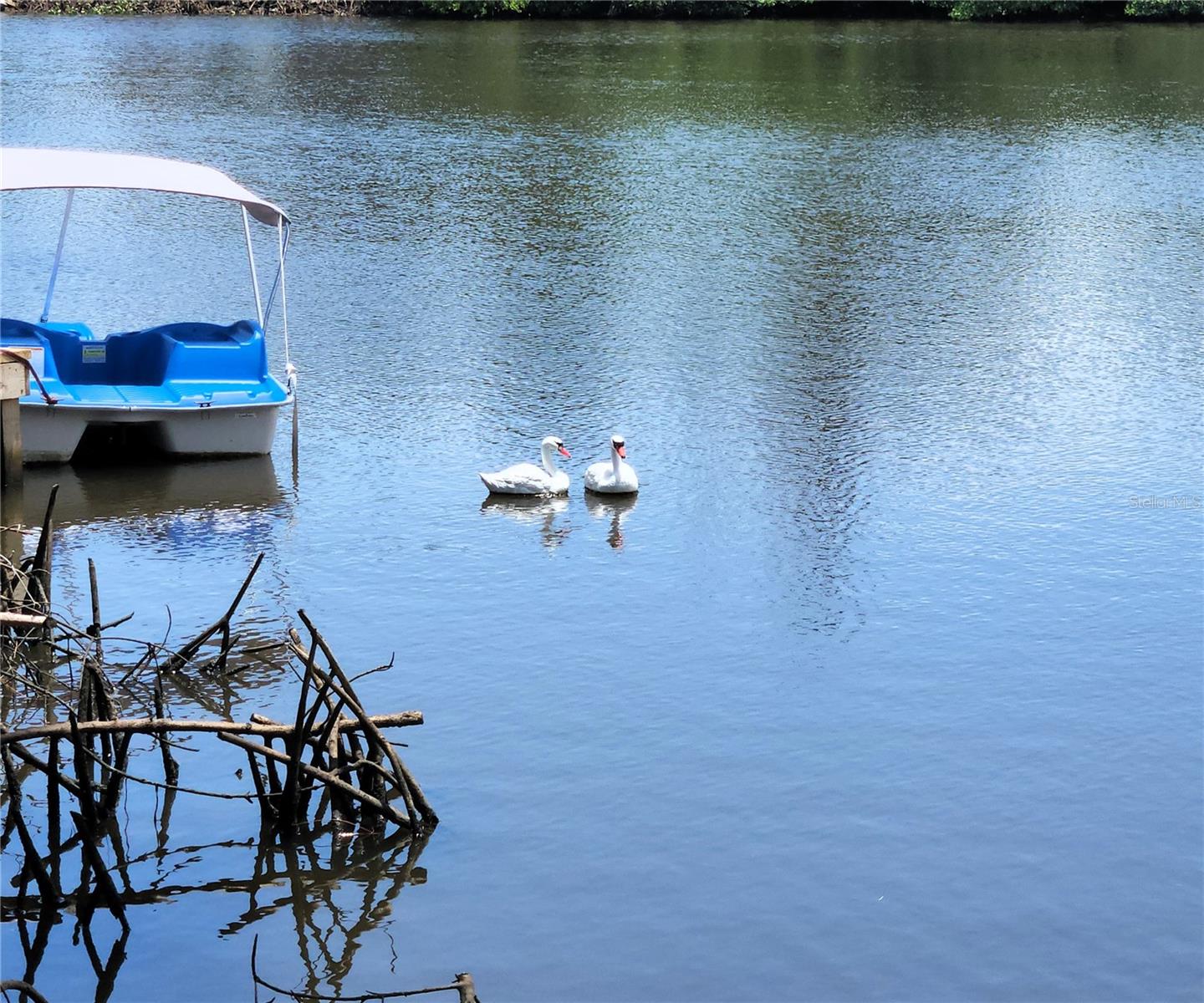 Oyster Creek: photo shot directly from the backyard of 6975 Edgewater Dr.