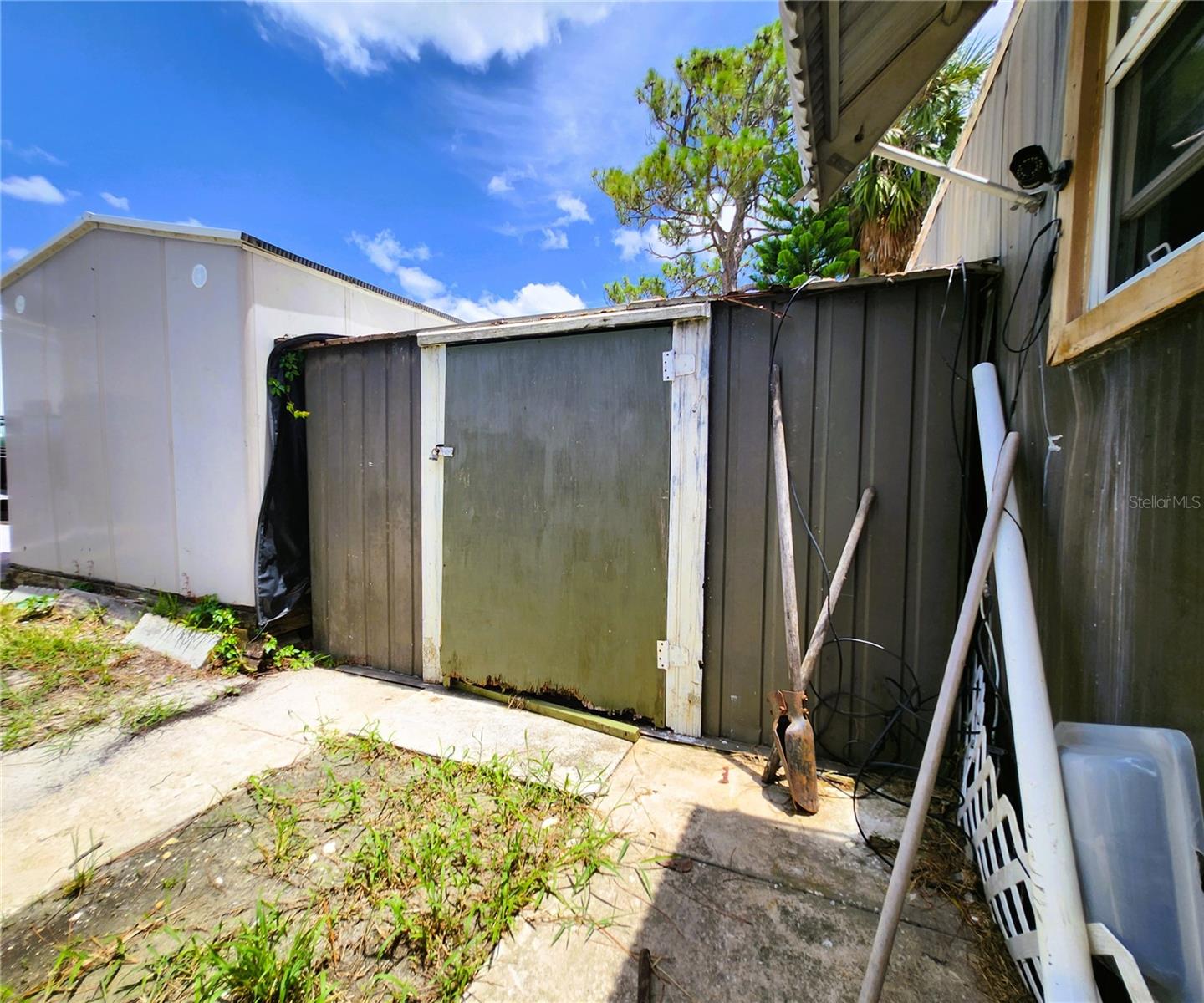 Shed