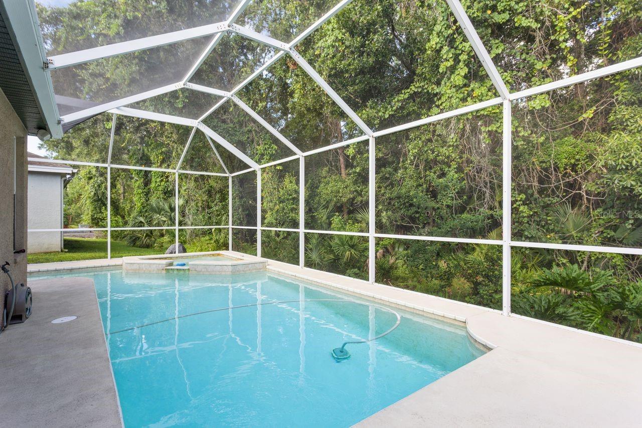 Pool and the conservation lot