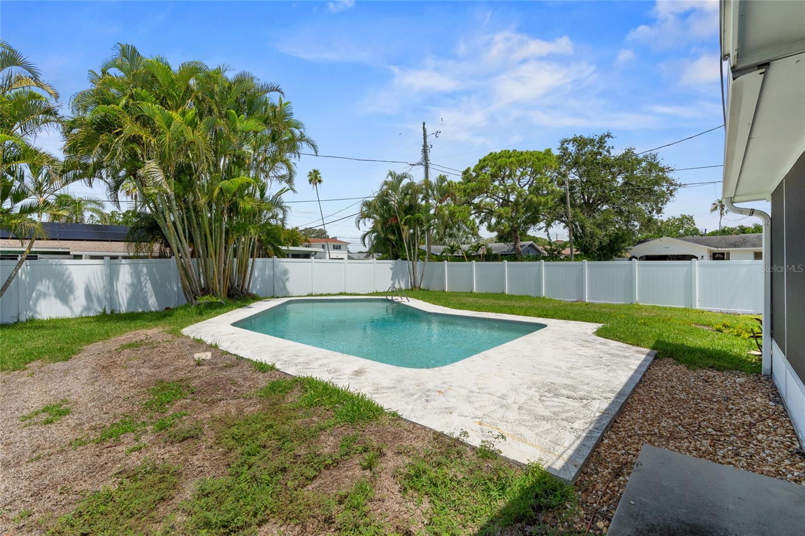 Pool and backyard