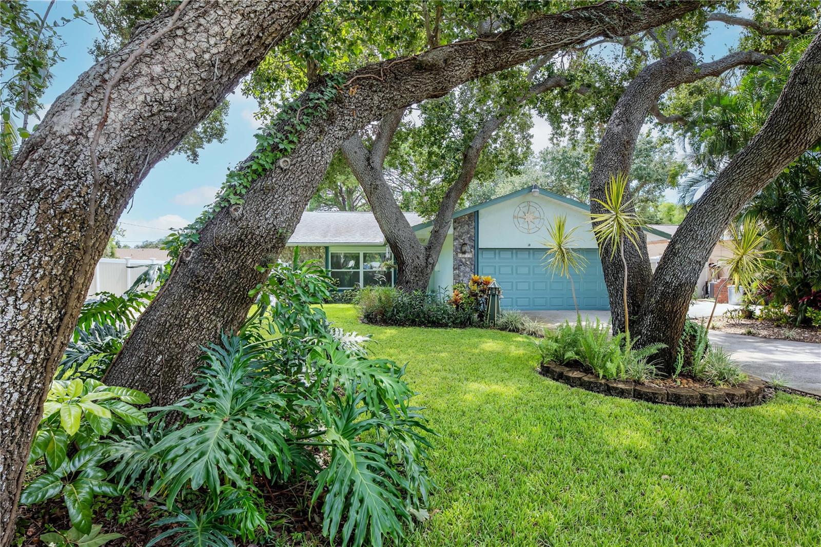 Beautiful mature landscaping