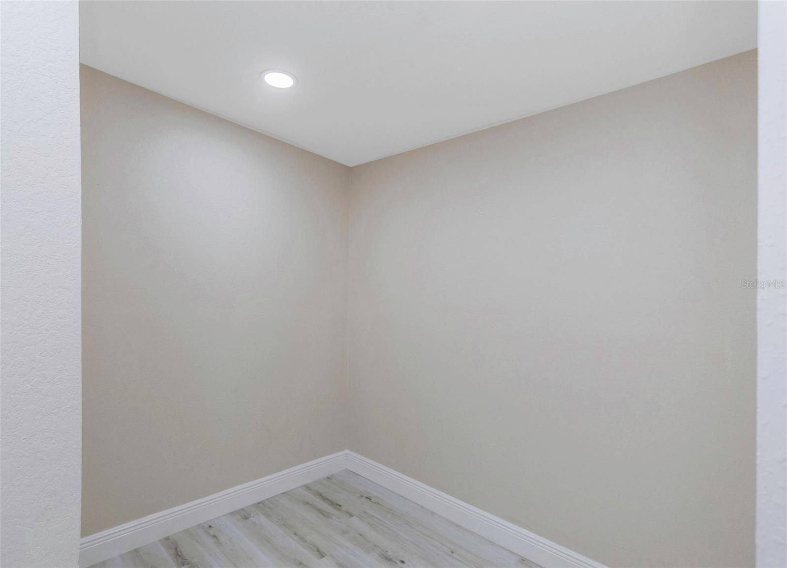 Master Walk-in closet