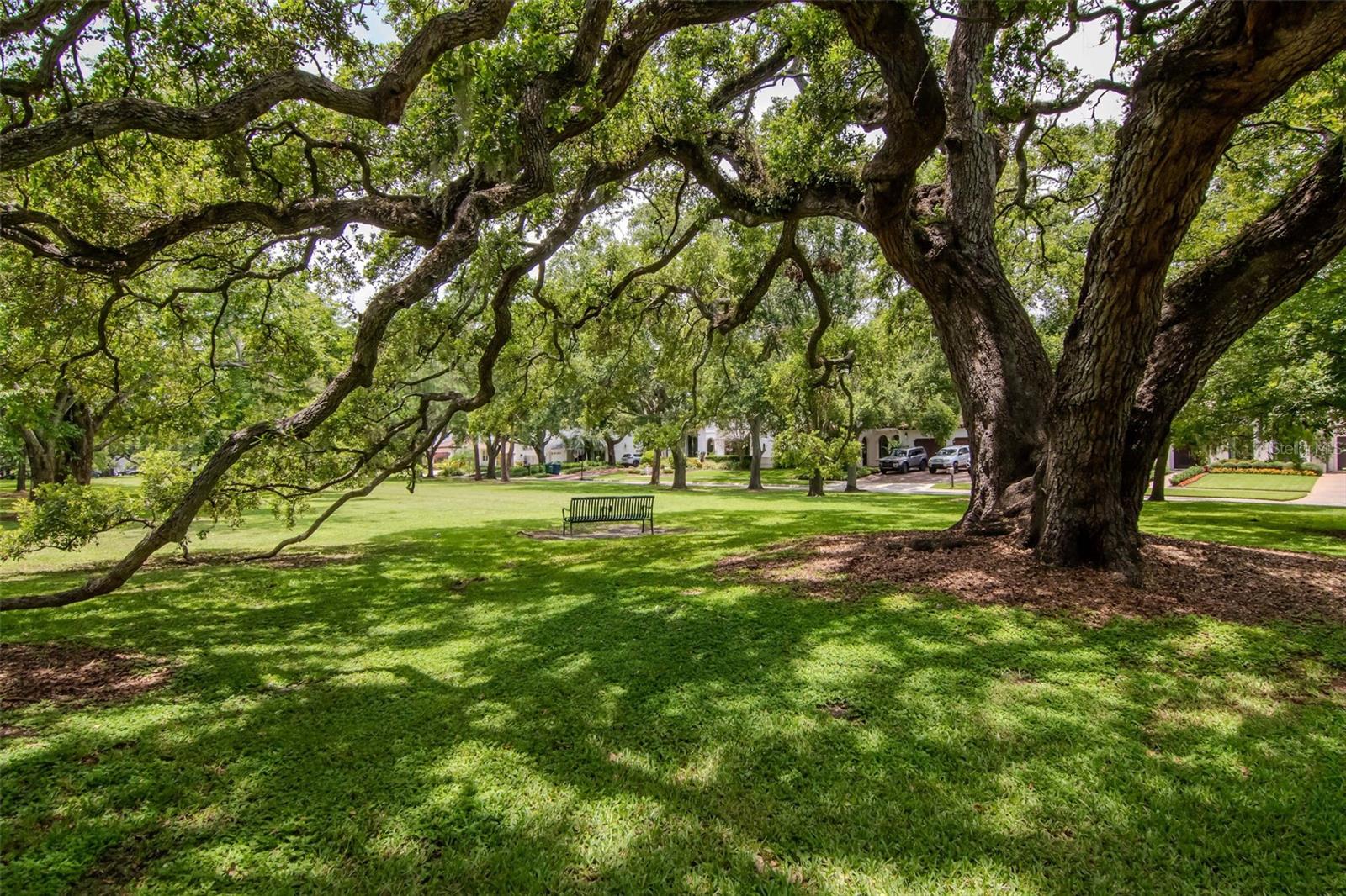 Waverly Park is the gem of the neighborhood.