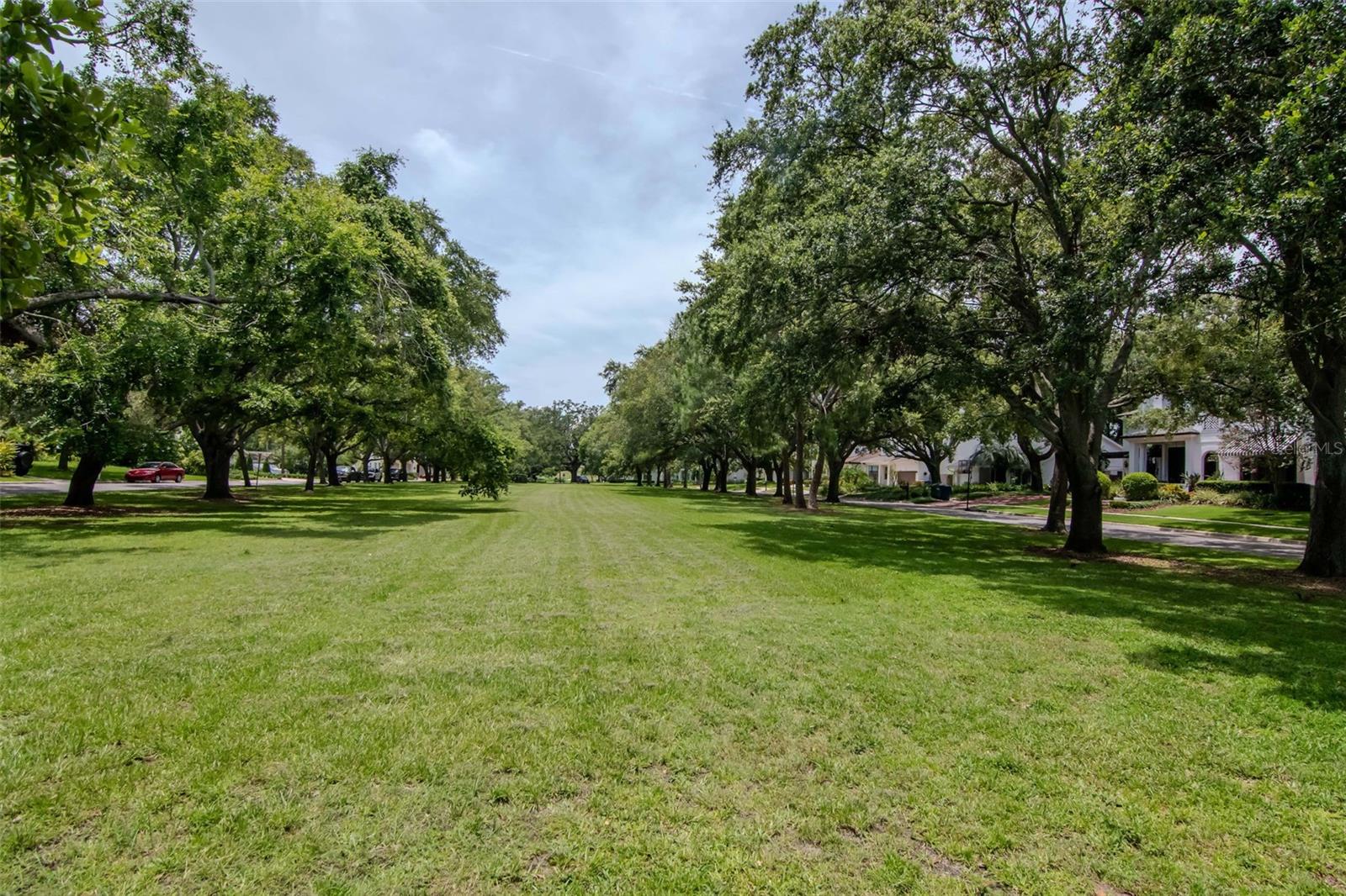 Lots of running room in the park.