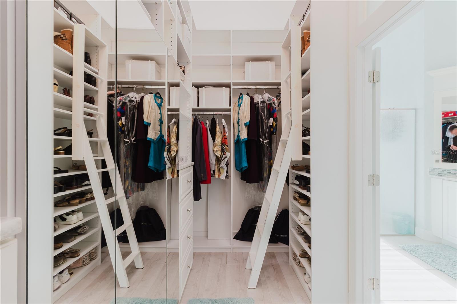 Ladders for the closet