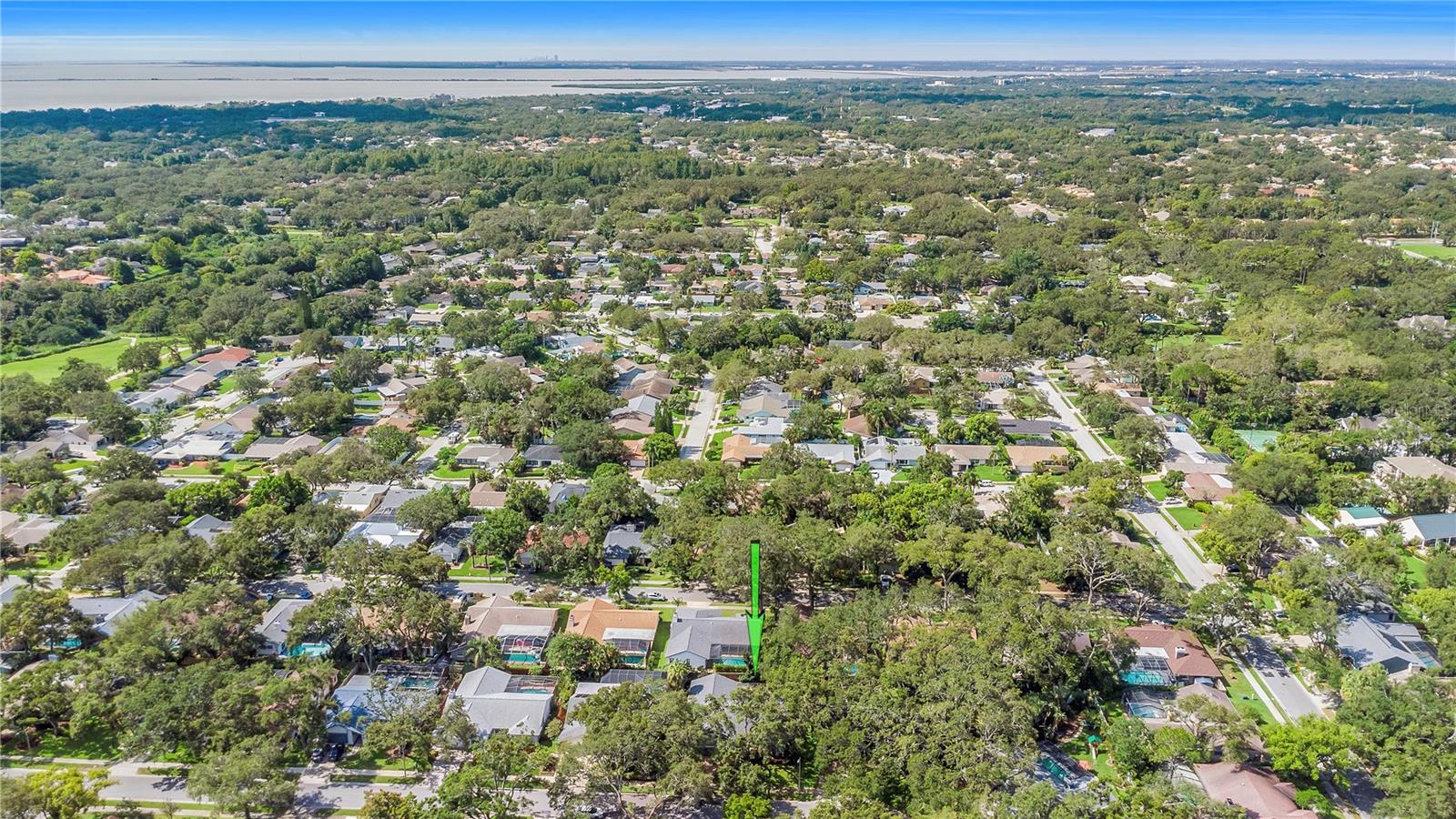Minutes to downtown Safety Harbor