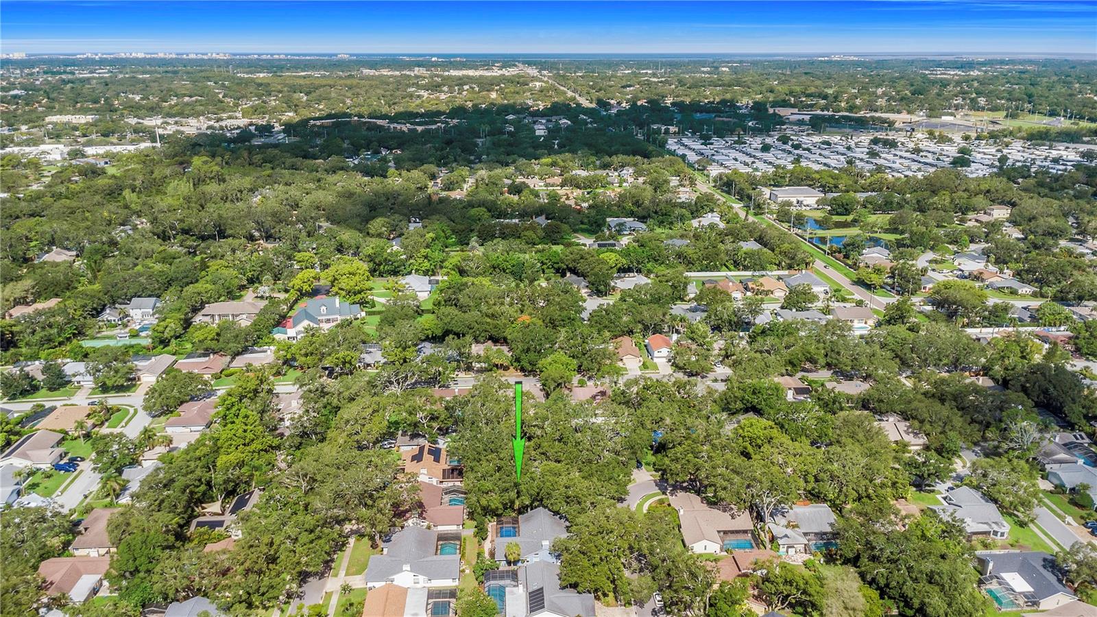 Minutes to downtown Safety Harbor