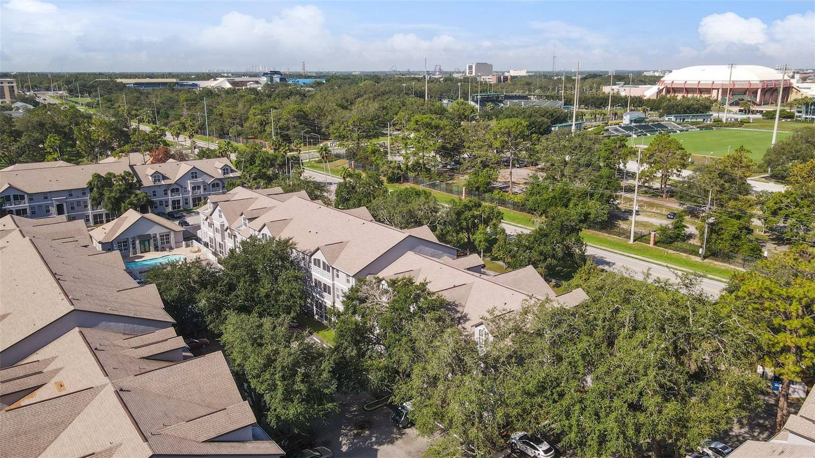 Looking west to University of South Florida