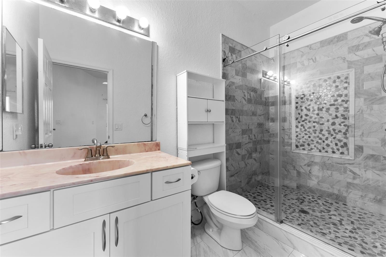 Primary bath with exceptional large shower