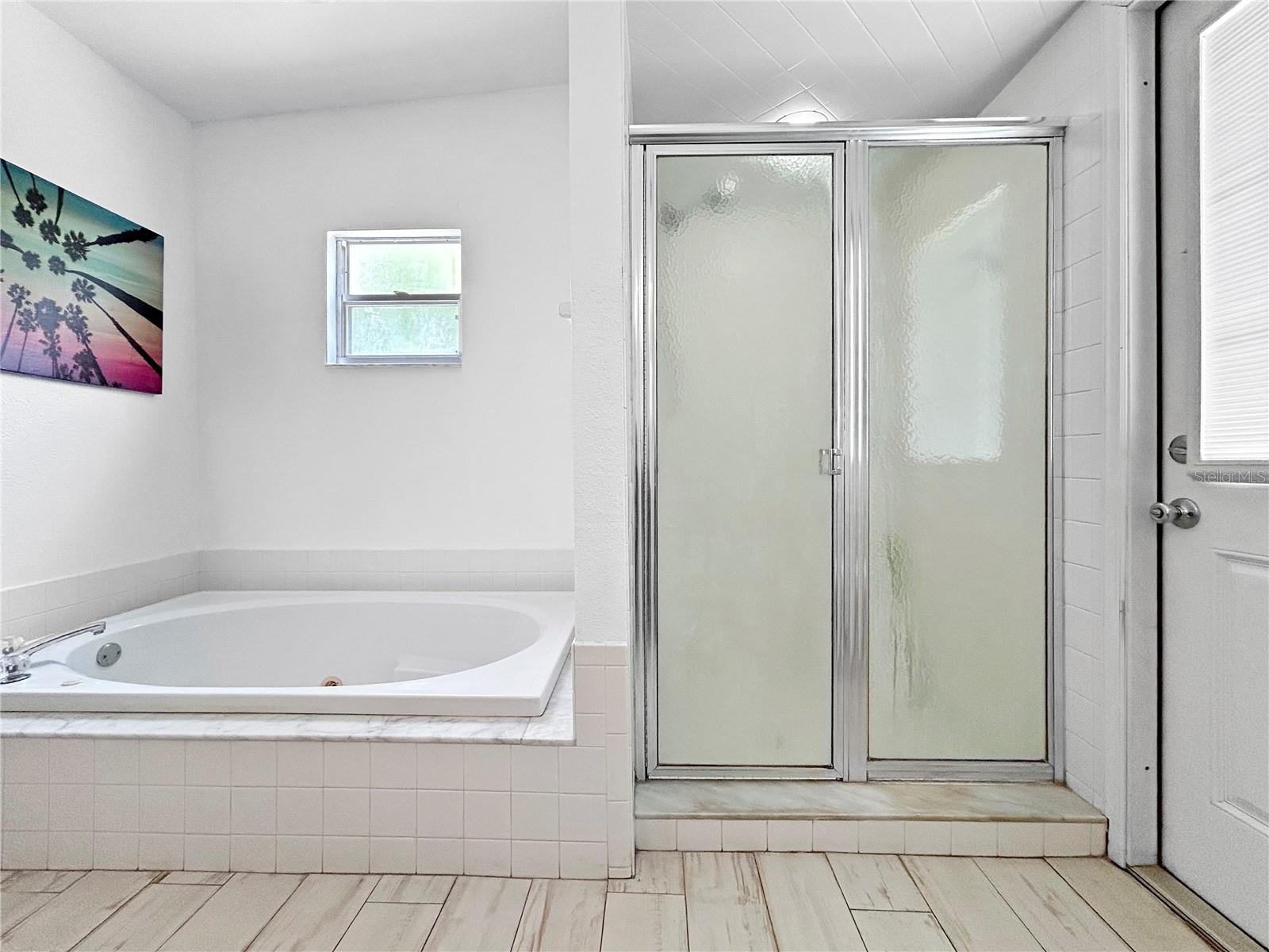 Primary Bath and Shower