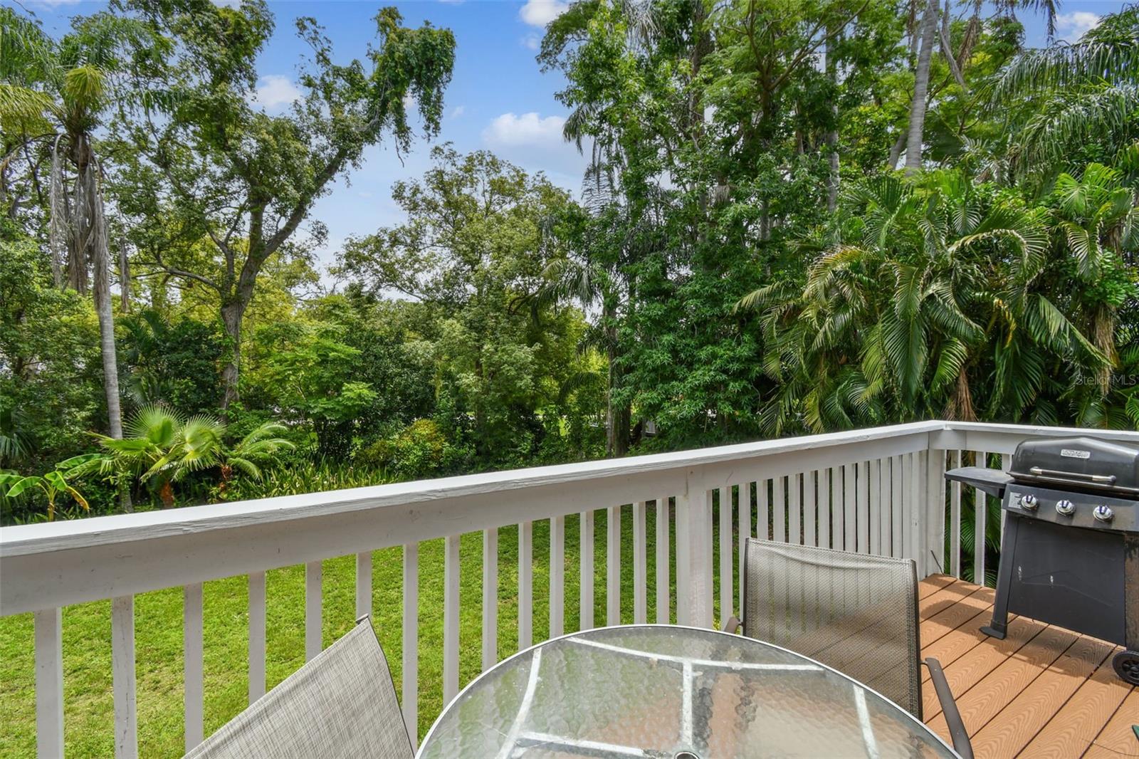 Back Deck