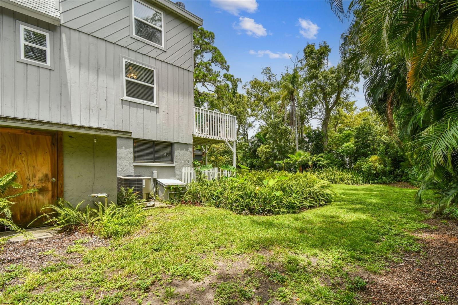 Backyard