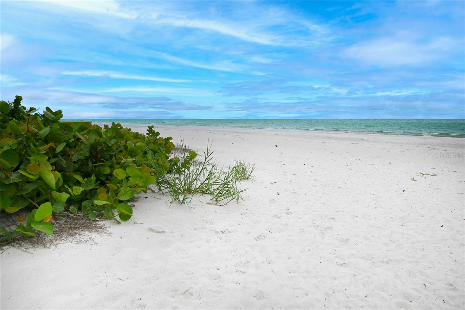 Beautiful Indian Shores Beach