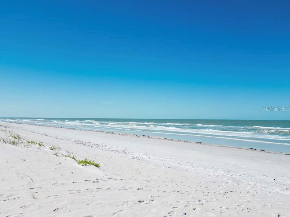 Beautiful Indian Shores Beach