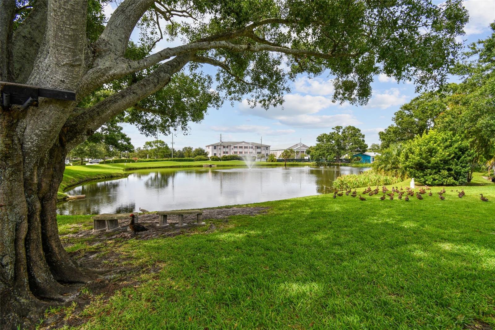 View of community water feature