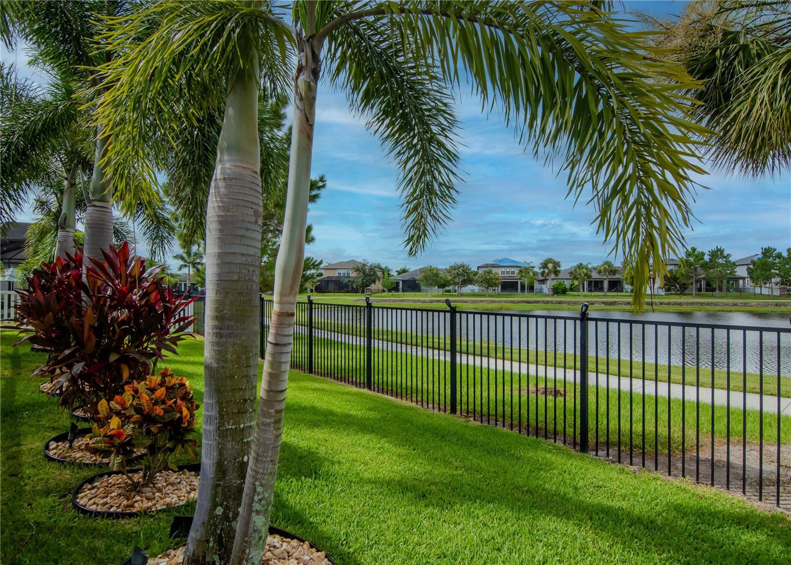 Fully fenced Backyard