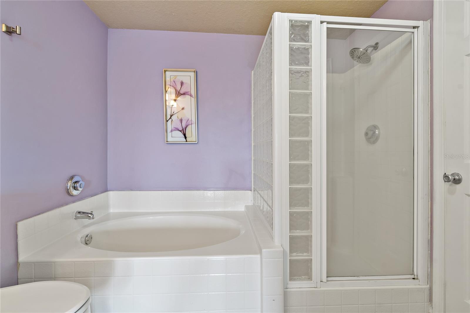 Master Garden Tub and Shower Stall