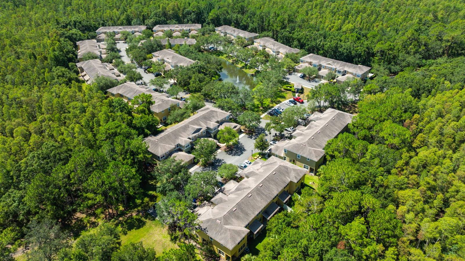 Aerial View of community