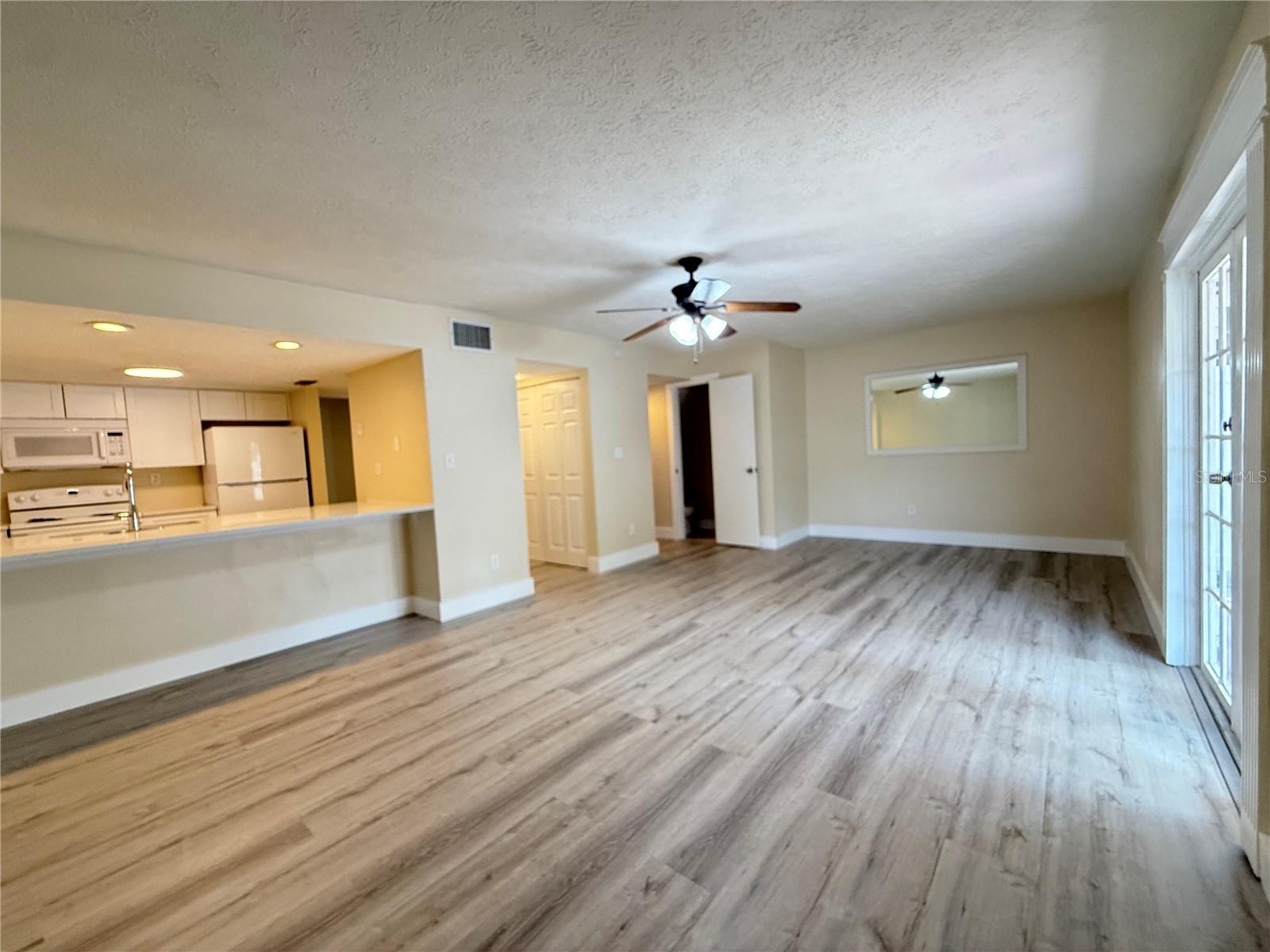 Split Living Room & Dining Room